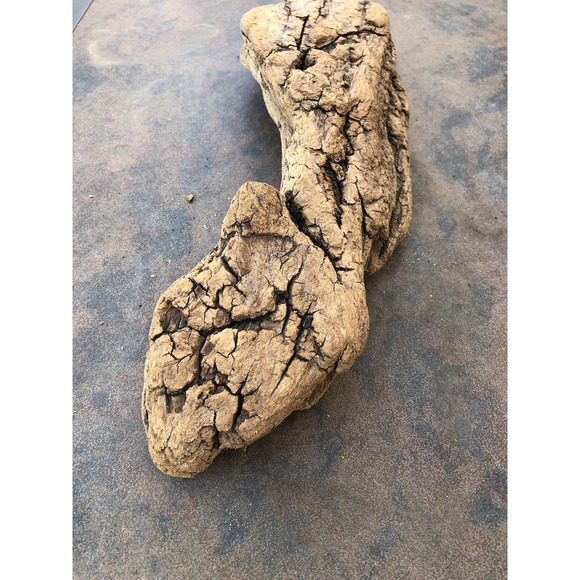 Natural Driftwood for Plants Terrarium Taxidermy Art Projects - Picture 5 of 6